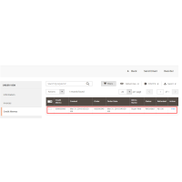 Ping Payment Credit Memo