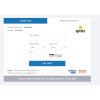 QPAY credit card form